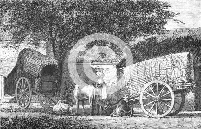 ''Hindoo Travelling Cars; Notes on the Indian Wolf, "Canis Pallipes."', 1875. Creator: Charles Horne.