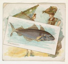 Haddock, from Fish from American Waters series (N39) for Allen & Ginter Cigarettes, 1889. Creator: Allen & Ginter.