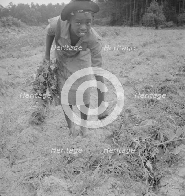 Thirteen year old daughter of Negro sharecropper..., Olive Hill, North Carolina, 1939. Creator: Dorothea Lange.