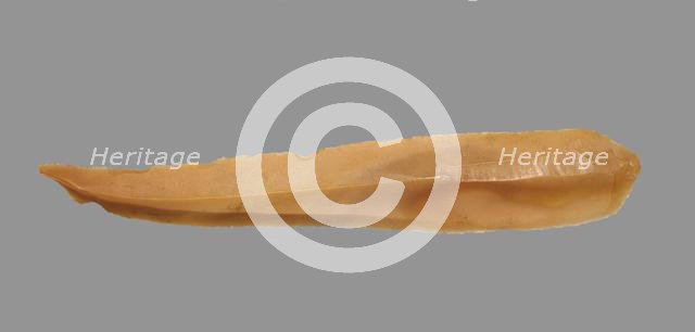 Sickle Blade, 1980-1801 BC. Creator: Unknown.