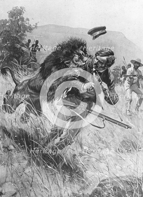 Scottish missionary and explorer David Livingstone being attacked by a lion, Africa, 19th century. Artist: Unknown