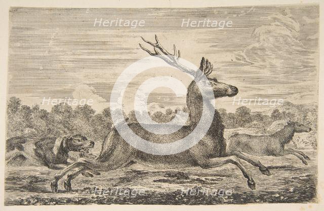 Hounds Chasing a Stag and a Doe, ca. 1654. Creator: Stefano della Bella.