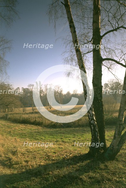 The West Meadow, Kenwood House, Hampstead, London, 1997. Artist: N Corrie