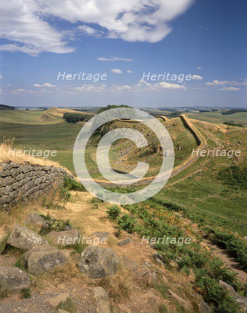 Hadrian's Wall, Northumberland, 2010. Creator: Paul Highnam.