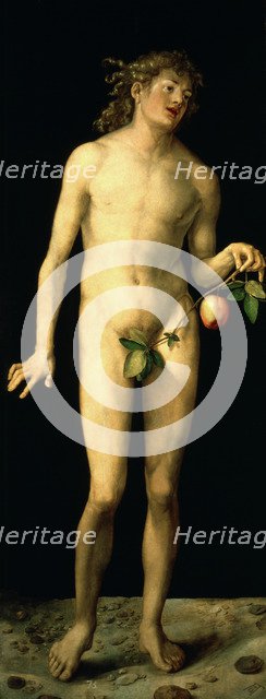 'Adam', 1507. Artist: Albrecht Dürer