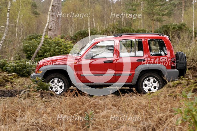 2004 Jeep Cherokee Artist: Unknown.