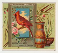 Cardinal Grosbeak, from the Birds of America series (N37) for Allen & Ginter Cigarettes, 1888. Creator: Allen & Ginter.