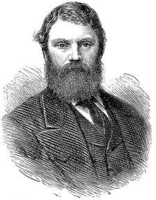 Francis Edmund Anstie (1833-1874), English physician, 1874. Artist: Unknown