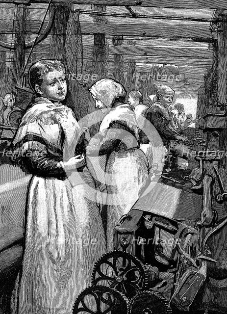 Women operatives tending power looms in a Yorkshire woollen mill, 1883. Artist: Unknown