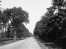 Hawthorne St., north, Lenox, Mass., c.between 1910 and 1920. Creator: Unknown.