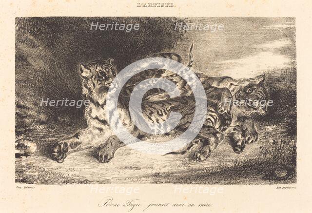 Young Tiger Playing with its Mother (Jeune tigre jouant avec sa mère), 1831. Creator: Eugene Delacroix.