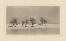 Gnarled Thorn Trees, 1893, printed 1895. Creator: Dr Peter Henry Emerson.