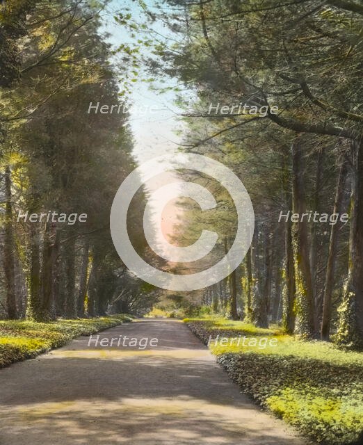 "El Fureidis," James Waldron Gillespie house, Parra Grande Lane, Montecito, California, 1917. Creator: Frances Benjamin Johnston.