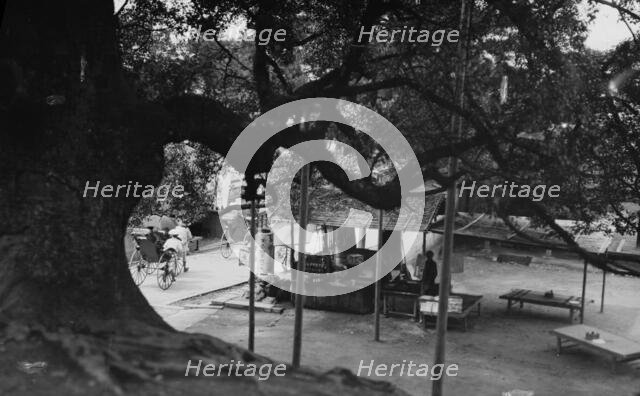 Travel views of Japan and Korea, 1908. Creator: Arnold Genthe.