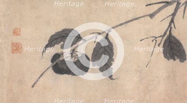 Fruit, c16th century. Creator: Unknown.