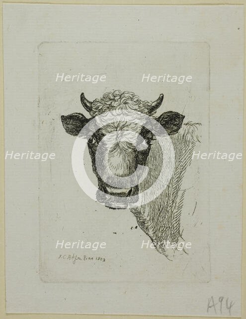 Head of a Young Bull, from Die Zweite Thierfolge, 1803. Creator: Johann Christian Reinhart.
