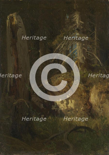 Landscape Study with Decaying Trees, probably 1851. Creator: Herman August Cappelen.