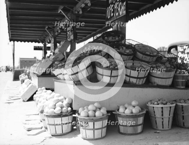 Center Market, Washington, D.C., 1936. Creator: Dorothea Lange.