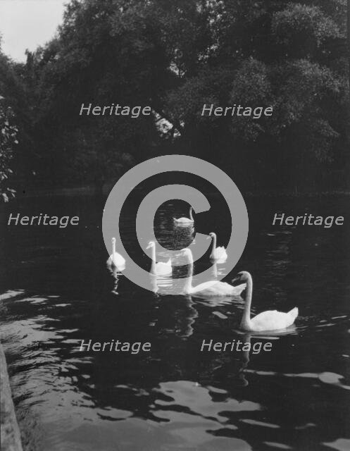 Travel views of Europe, between 1904 and 1938. Creator: Arnold Genthe.