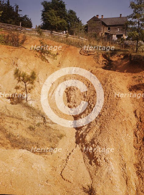 Greene Co. Ga., eroded farm land, 1941. Creator: Jack Delano.