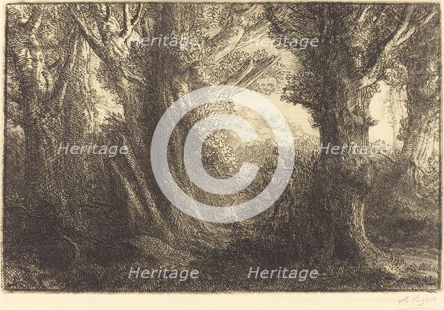 In the Forest of Conteville (Dans la foret de Conteville). Creator: Alphonse Legros.