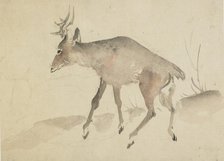 Deer, late 18th-early 19th century. Creator: Hokusai.