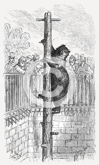 'The Bear Pit - Zoological Gardens', 1872.  Creator: Gustave Doré.