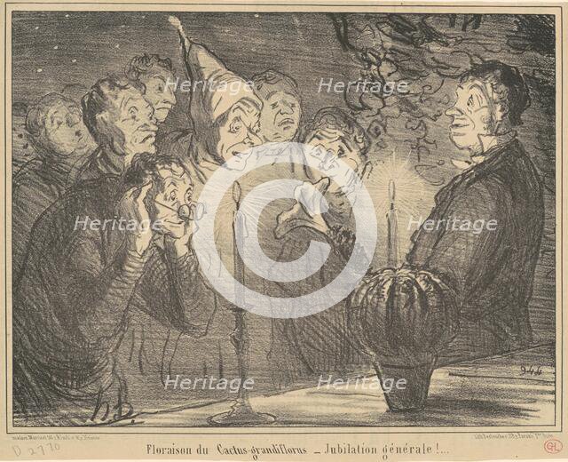 Floraison du Cactus-grandiflorus..., 19th century. Creator: Honore Daumier.