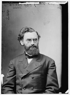 Carl Schurz of Missouri, between 1865 and 1880. Creator: Unknown.