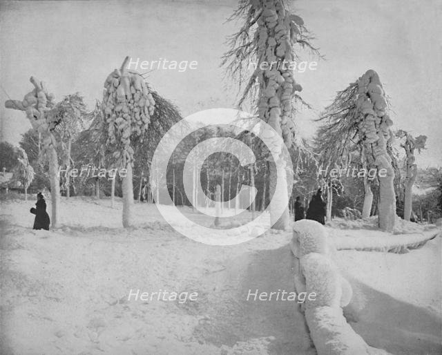 'Frost Work in Prospect Park, Niagara', c1897. Creator: Unknown.