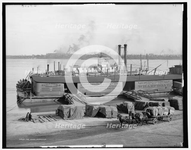 The Levee, Lousiville [sic], Ky., c.between 1900 and 1906. Creator: Unknown.