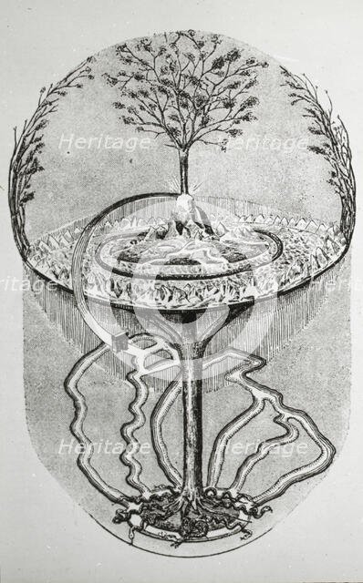 Reproduction of print showing Cosmic ash tree, between 1915 and 1925. Creator: Frances Benjamin Johnston.