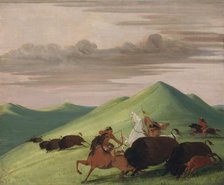 Buffalo Chase, Bull Protecting a Cow and Calf, 1832-1833. Creator: George Catlin.