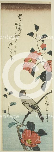 Camellia flowers and bullfinch, c. 1843/47. Creator: Ando Hiroshige.