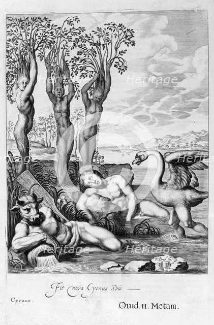 Cygnus transformed into a swan and Phaeton's sisters into poplars, 1655. Creator: Unknown.