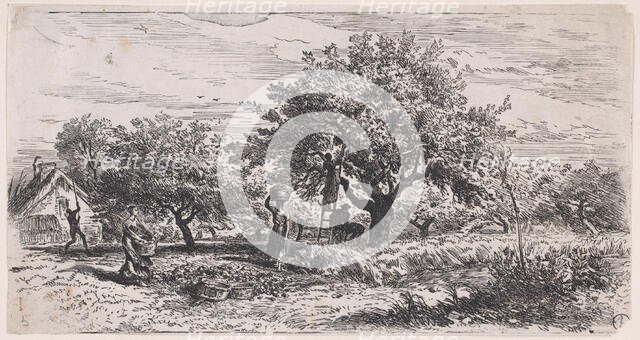 Picking fruit from tree outside cottage, ca. 1852. Creator: Charles Emile Jacque.