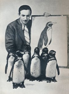 Walt Disney with penguins, 1934 (1935). Artist: Unknown.