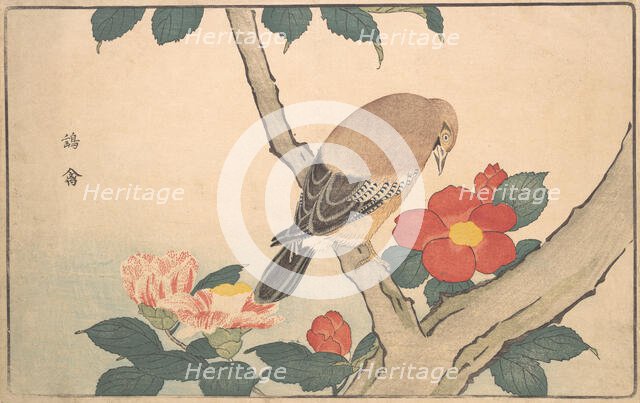 Camellias with a Bird, 1789. Creator: Kitao Masayoshi.