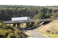 The A31 Dual Carriageway through New Forest Artist: Unknown.