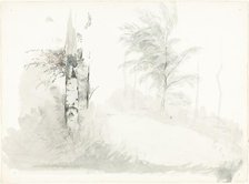 Tree Study, mid-1850s. Creator: John Ruskin.
