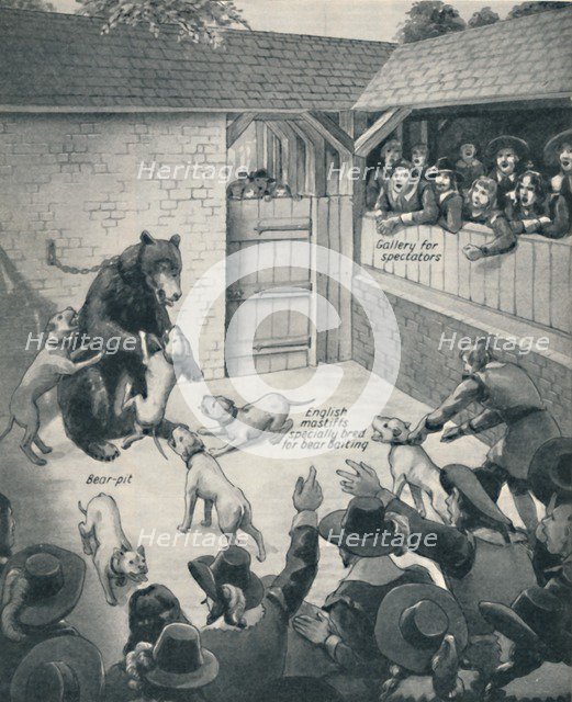 'Bear-Baiting in a Stuart Bear Pit', c1934. Artist: Unknown.