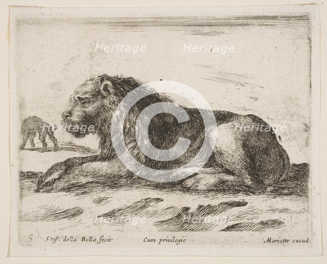 Plate 5: reclining lion, from 'Various animals' (Diversi animali), 1641. Creator: Stefano della Bella.