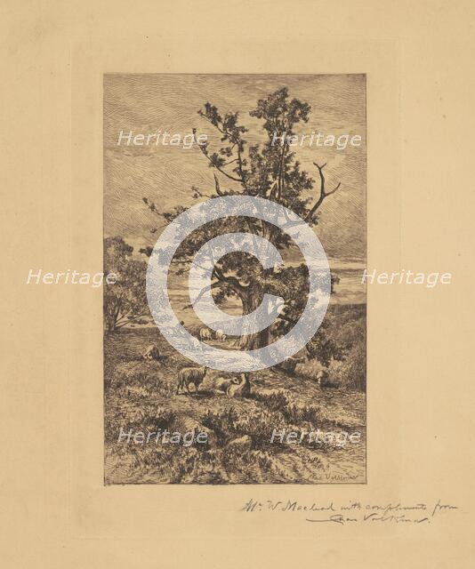 Landscape with Sheep, c. 1876. Creator: Charles Volkmar.