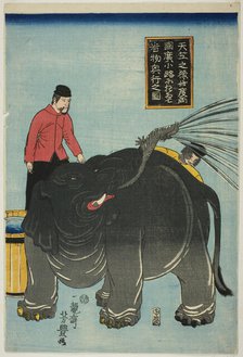 Illustration of Elephant from India On Display at Hirokoji in Ryogoku (Tenjiku no zo kotabi...,1863. Creator: Utagawa Yoshitoyo.