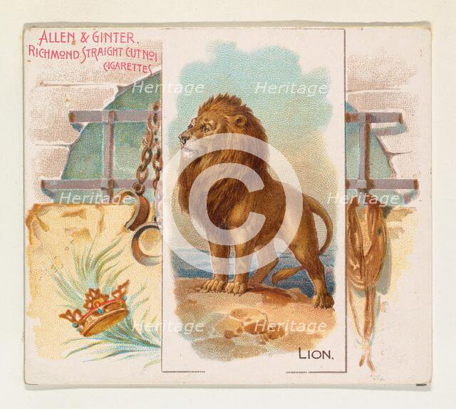 Lion, from Quadrupeds series (N41) for Allen & Ginter Cigarettes, 1890. Creator: Allen & Ginter.