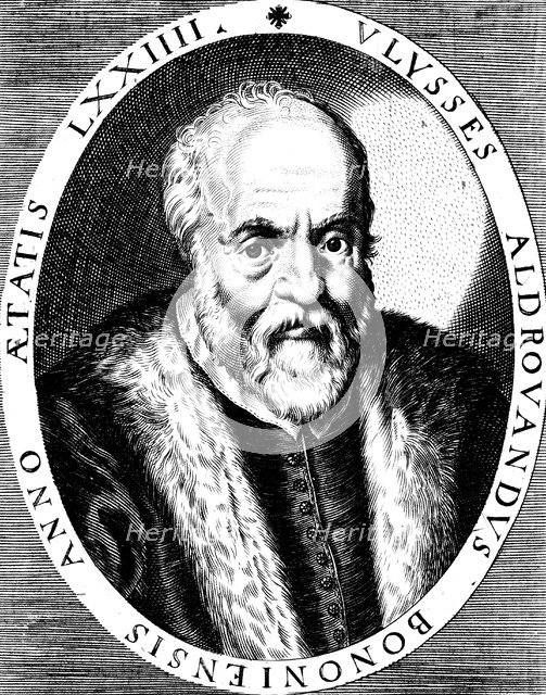 Ulisse Aldrovandi (1522-1605), Italian botanist, naturalist and physician, late 16th century. Artist: Unknown