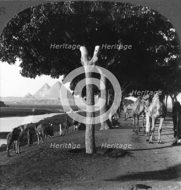 The road to the pyramids, Giza, Egypt, 1905.Artist: Underwood & Underwood