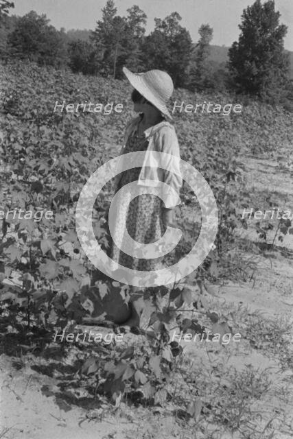 Lucille Burroughs in the cotton fields, Hale County, Alabama, 1936. Creator: Walker Evans.