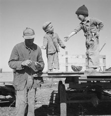 Franklin Schroeder and his older boys in the yard, Dead Ox Flat, Malheur County, Oregon, 1939. Creator: Dorothea Lange.