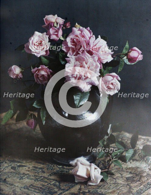 Autumn roses, 1915. Creator: Robert Walrond.